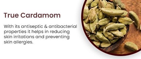 True Cardamom